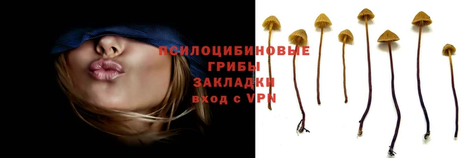 шишки Абдулино