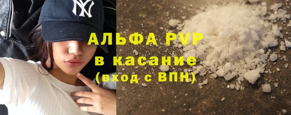 СК Саяногорск