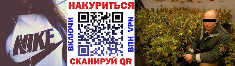 Конопля SATIVA & INDICA  где купить   Инза 